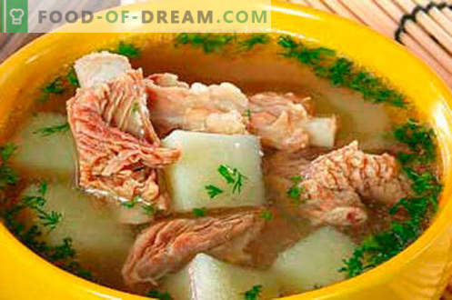 Sopa de cerdo - las mejores recetas. Cómo cocinar adecuadamente y sabrosa la sopa en caldo de cerdo.