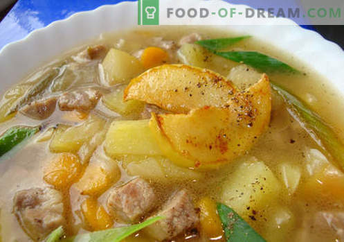 Sopa de cerdo - las mejores recetas. Cómo cocinar adecuadamente y sabrosa la sopa en caldo de cerdo.