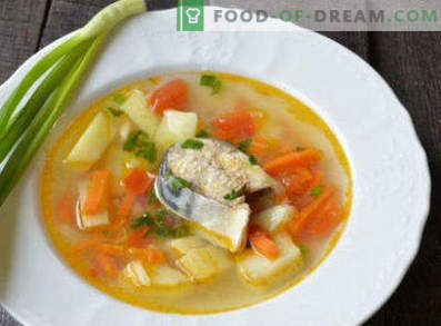 Sopa de caballa recién congelada, recetas con fotos. Cómo cocinar sopa de caballa