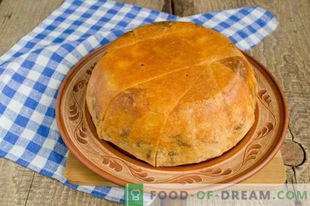Shakh-pilaf en pan de pita: consumo para las vacaciones
