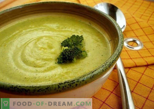 El puré de brócoli es la mejor receta. Cómo hacer correctamente y sabroso el puré de brócoli cocido.