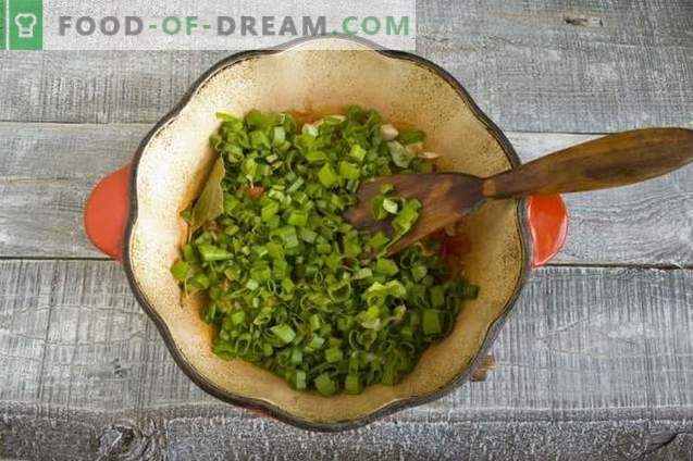 Sopa de gulash de pollo con papas nuevas y cebollas verdes