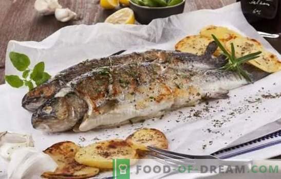 ¡Pescado, todo está delicioso a la parrilla! Recetas de pescado a la parrilla de mar y río: ayuda de cocina para pescadores y amantes del pescado sabroso