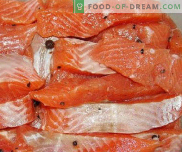 Recetas de pescado rojo salado en casa y recomendaciones