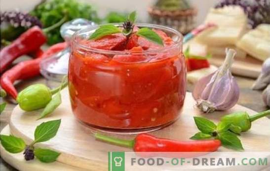 Lecho con jugo de tomate es una de las opciones para hacer un delicioso refrigerio. Recetas probadas de derechos de autor lecho con jugo de tomate