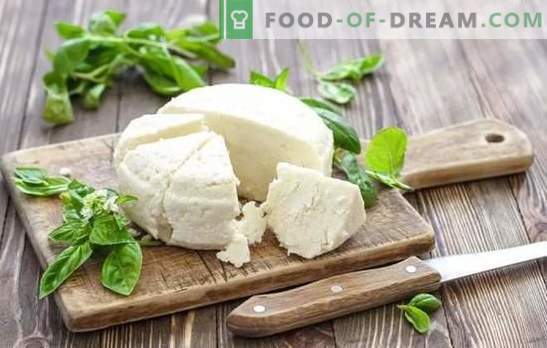 El queso de leche agria es un producto lácteo natural. Variantes de queso para cocinar del yogurt en casa