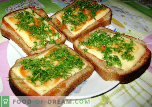 Los sándwiches de queso son las mejores recetas. Cómo cocinar rápidamente y sabrosos sándwiches con queso.