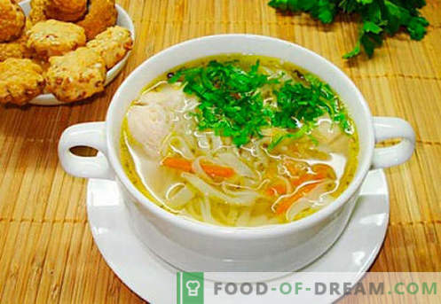 Sopa de caldo de pollo - las mejores recetas. Cómo cocinar adecuadamente y sabrosa la sopa en caldo de pollo.