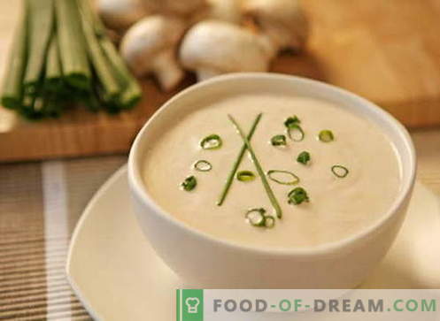 Sopa de crema - las mejores recetas. Cómo cocinar adecuadamente y cocinar la sopa de crema.