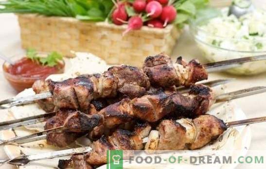 Adobo para kebab en kéfir: ¡el secreto de la carne perfecta! Una selección de los adobos más exitosos para kebab en kéfir