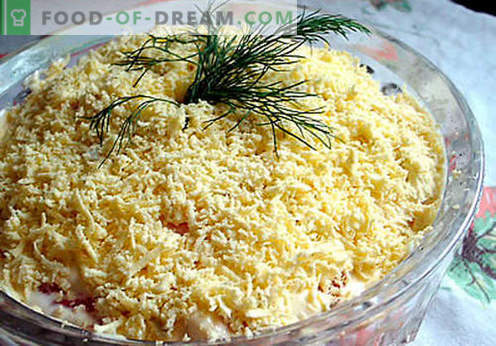 Ensalada con queso fundido - una selección de las mejores recetas. Cómo cocinar correctamente y sabrosa ensalada con queso derretido.
