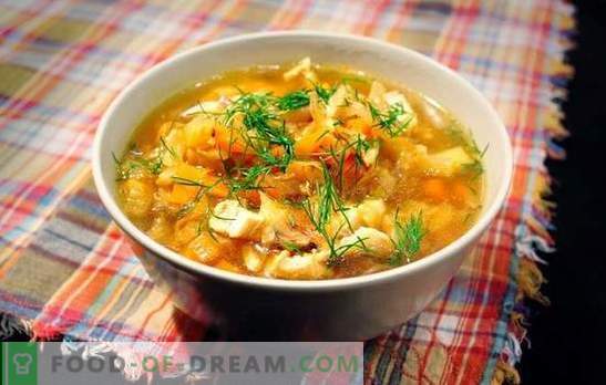 La sopa de chucrut con cerdo es un plato ruso para todos los tiempos. Recetas de sopa de repollo de chucrut con cerdo, champiñones, frijoles, mijo