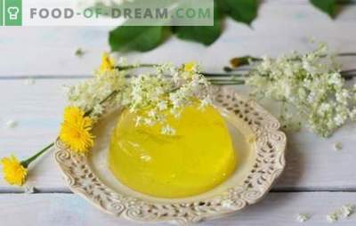 Gelatina de limón - postre sabroso, que siempre es el camino. Términos de cocción y variaciones de platos a base de gelatina de limón