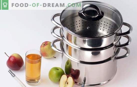 Come preparare il succo di mela in uno spremiagrumi per l'inverno? Molto semplice! Sottigliezze e trucchi: con cosa e come cucinare il succo nella pentola della mela