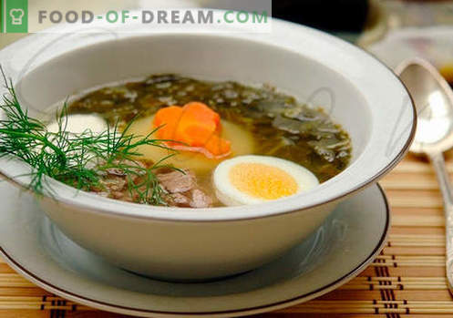 Sopa de acedera - recetas probadas. Cómo cocinar correctamente y sabrosa la sopa de acedera.