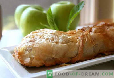 Strudel de manzana - las mejores recetas. Cómo cocinar correctamente y sabroso el strudel con manzanas.