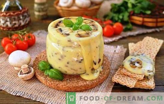 El queso fundido casero del queso cottage se prepara profesionalmente. Vacaciones de sabor con queso cottage recetas de queso procesado en casa