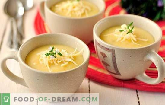 Sopa de patata: ¿espesa o delgada? Una selección de recetas de sopa de puré de patata: con frijoles, champiñones, calabacín, camarones