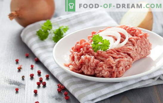 Platos de carne picada: la receta del producto semiacabado correcto. Platos caseros de carne picada: recetas de comida deliciosa