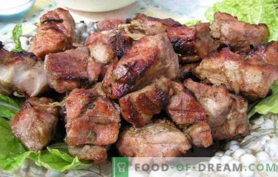 Adobo para kebab de cerdo con kéfir - ¡Tierno! Recopilación de recetas de adobo para carne al fuego: adobo para cerdo con kéfir