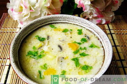 Sopas con arroz - las mejores recetas. Cómo cocinar correctamente y sabrosa la sopa con arroz.