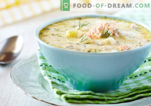 Sopa de crema - recetas probadas. Cómo cocinar correctamente y sabrosa la sopa con crema.