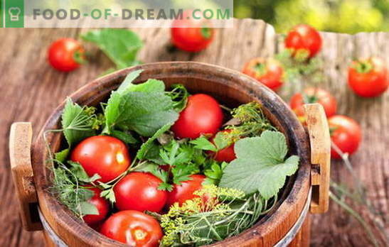 Verde y rojo, el sabor es maravilloso, tomates salados en un barril para el invierno. Diferentes maneras de cosechar tomates en un barril para el invierno