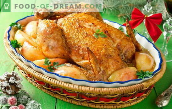 Pollo con manzanas en el horno - ¡esto no es una broma! Recetas con sabor a pollo con manzanas en el horno: entero y rebanadas