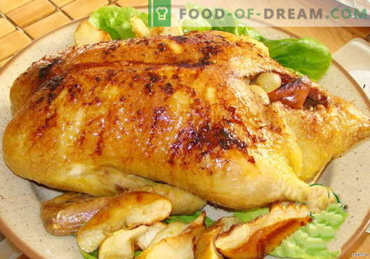 Pato relleno - las mejores recetas. Cómo cocinar adecuadamente y sabroso el pato relleno.
