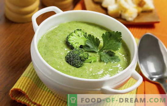Sopa de crema de brócoli: recetas para dietas y nutrición básica. Variedad de recetas para la crema - sopa de brócoli simple a complejo