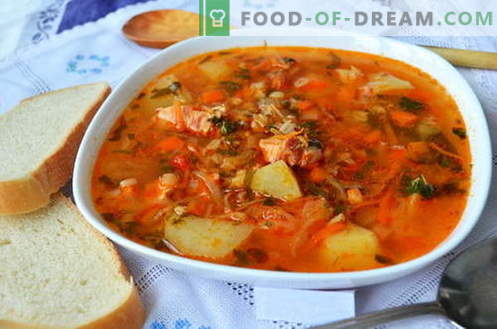 Sopa Kharcho - Las mejores recetas. Cómo cocinar correctamente y sabrosa la sopa de kharcho.