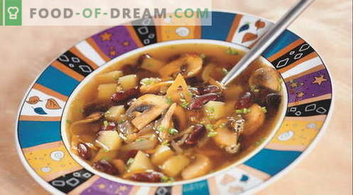 Sopa de solyanka - las mejores recetas. Cómo correctamente y sabrosa sopa de sopa.