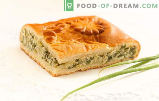 Pastel de cebolla verde en yogurt: deliciosos pasteles caseros. Recetas para tartas con cebolla verde en yogurt en el horno y multicooker