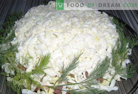 Insalate bianche - le migliori ricette. Come insalata bianca correttamente e deliziosamente cucinata.