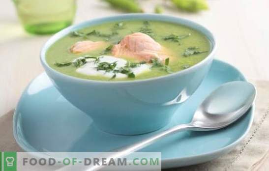 Sopa de pescado de chum - útil, simple, sabrosa. Las mejores recetas de sopa keta (de cabeza, cola, aletas) para todos los gustos: con cereales y maíz