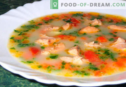 Sopa de salmón - las mejores recetas. Cómo cocinar correctamente y sabrosa la sopa de salmón.