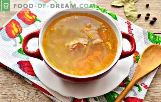 Recetas sencillas, rica sopa de repollo hecha de repollo fresco con cerdo. Cocinando la sopa más rusa - sopa de col fresca con cerdo