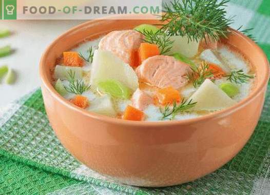 Sopa de salmón - las mejores recetas. Cómo cocinar correctamente y sabrosa la sopa de salmón.