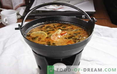 La sopa tailandesa es exótica en tu cocina. Recetas para sopas tailandesas con carne de res, pescado, pollo, mariscos, verduras y champiñones