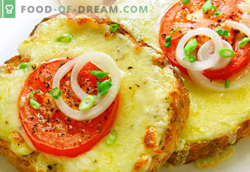 Sándwiches calientes con salchichas, queso, huevo, tomates: las mejores recetas. Cómo cocinar sándwiches calientes en el horno, en la sartén y en el microondas.