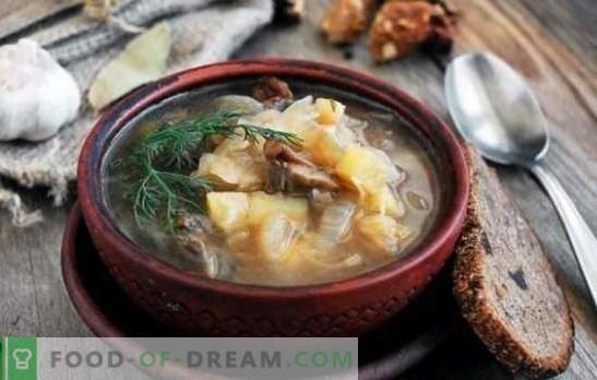 Sopa de chucrut con setas: tradicional y original. Secretos de la sopa de repollo con champiñones, trigo sarraceno, frijoles, cebada