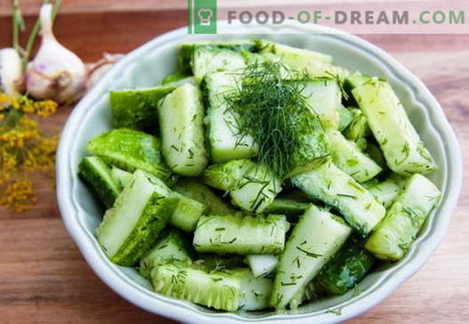 Ensalada de pepino - las mejores recetas. Cómo cocinar correctamente y sabroso cocinar ensaladas de pepino.