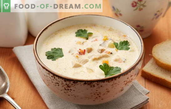 Sopa Pollock - un plato con excelente sabor! Cocinando la correcta sopa de pescado con verduras, huevos, cereales, queso, leche