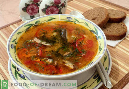 Sopas de tomate espadín - recetas probadas. Cómo cocinar de forma adecuada y deliciosa la sopa de tomate espadín.