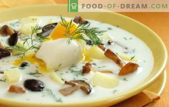 Sopa de champiñones: ¡es simple y útil! Las recetas más fáciles para la sopa hecha de champiñones: con carne, cereales, ollas, salmuera y hodgepodge