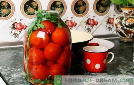 Las mejores recetas para tomates bajo la tapa de capron. Cómo preparar tomates bajo la cubierta del caprón: consejos de azafatas experimentadas