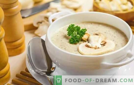 Sopas de champiñones fragantes: recetas paso a paso. Prepare un relleno simple y una sopa de crema europea de champiñones (paso a paso)