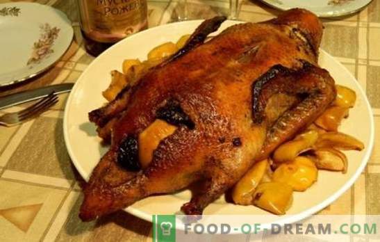 Pato con ciruelas pasas - un plato para gourmets reales. Cocinar el pato con las ciruelas pasas según diferentes recetas en la estufa, en la olla de cocción lenta y en el horno