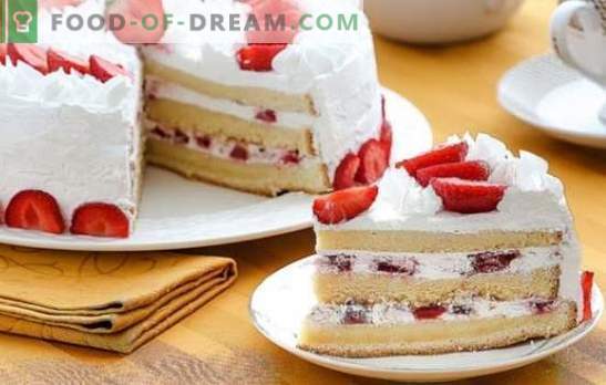 Biscuit Cake Cream: Las mejores recetas. ¡Elija una receta para pastel de galletas y dale a tu postre un sabor único!