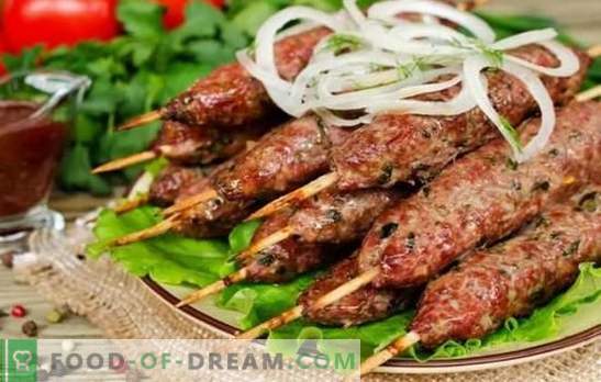 Kebab tradicional a la parrilla: de qué y cómo. Recetas para kebab de lula a base de cordero, cerdo, pollo y papas